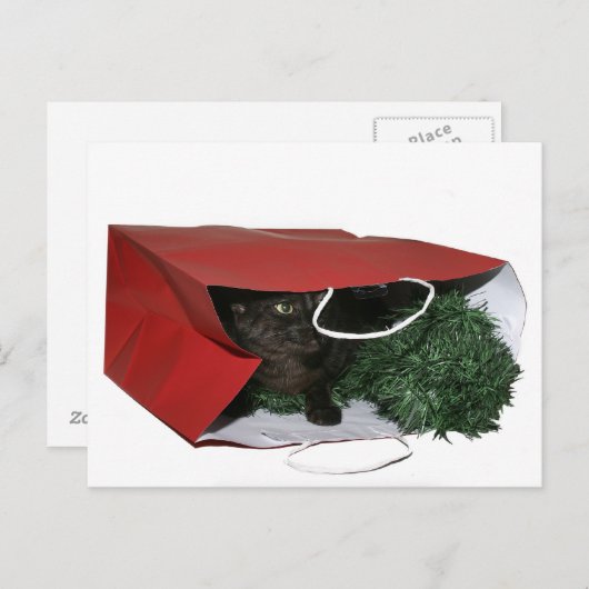 Weihnachtsgeschenk Feiertagspostkarte (Vorne/Hinten)