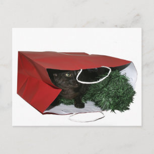 Weihnachtsgeschenk Feiertagspostkarte