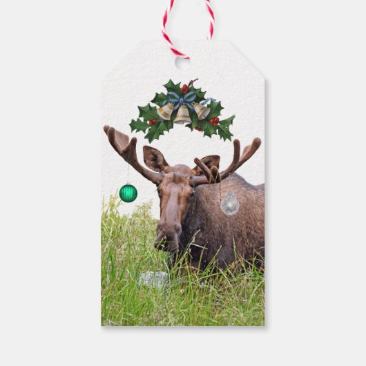 Weihnachtsgeschenk-Tag des Elchs Geschenkanhänger (Rückseite)