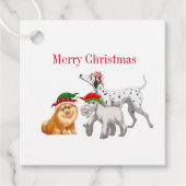 Weihnachtsgeschenk-Tag Geschenkanhänger (Vorderseite)