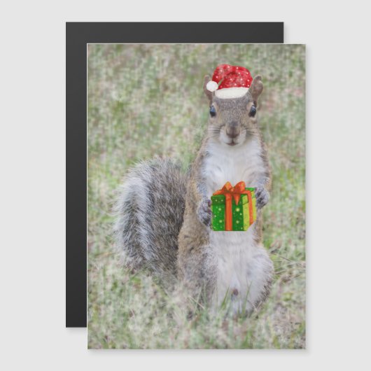 Weihnachtsgeschenk von Eichhörnchen Magnetkarte (Vorne/Hinten)
