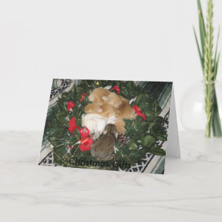 Weihnachtsgeschenk-Weihnachtskarte Feiertagskarte