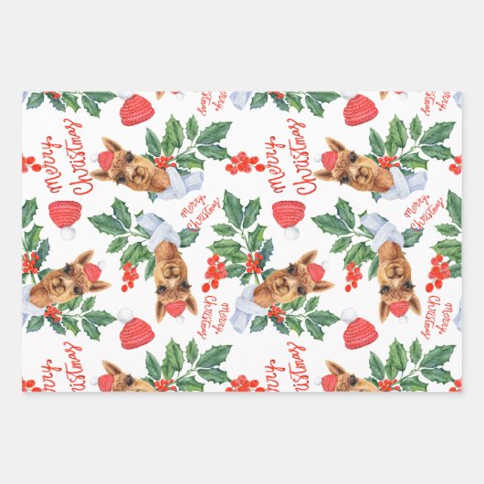 Weihnachtsgeschenk Wrap Auto Kamel und Holly Bundl Geschenkpapier Set (Vorderseite 3)