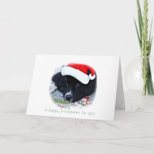 Weihnachtsgeschenke in Neufundland Feiertagskarte (Vorderseite)