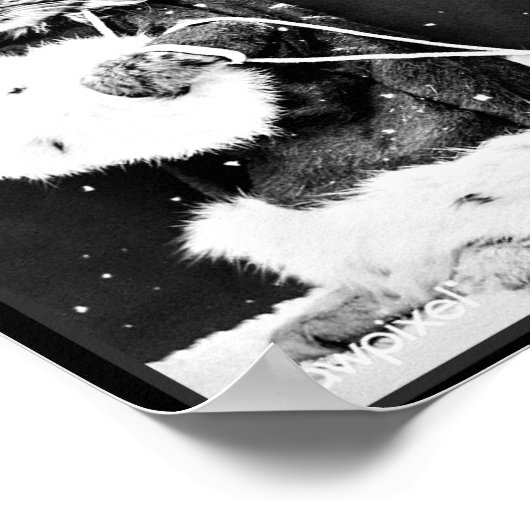 Weihnachtsgeschenke liefern poster (Ecke)