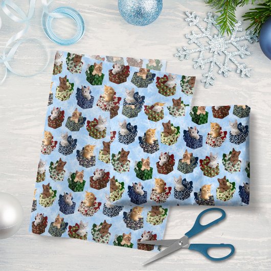 Weihnachtsgeschenke mit Niedlichen Baby Kittens In Seidenpapier