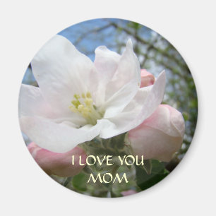 WEIHNACHTSGESCHENKE MÜTTER Apfelblüten Magnet