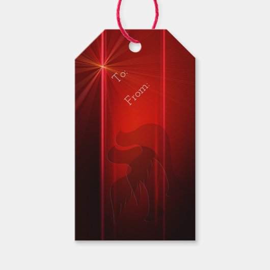 Weihnachtsgeschenke Tags/Tauben Geschenkanhänger (Vorderseite)
