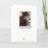 Weihnachtsgeschenke und Katze Feiertagskarte (Rückseite)