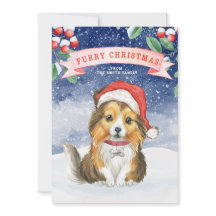 Weihnachtsgeschirr Weihnachtsfeiertag Weihnachtska