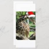 WeihnachtsGiraffe (Vorne/Hinten)