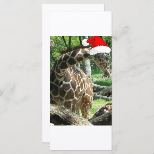 WeihnachtsGiraffe (Vorne/Hinten)