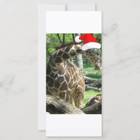 WeihnachtsGiraffe (Vorderseite)