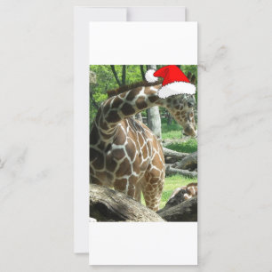 WeihnachtsGiraffe