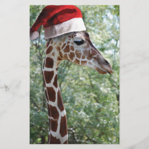 WeihnachtsGiraffe