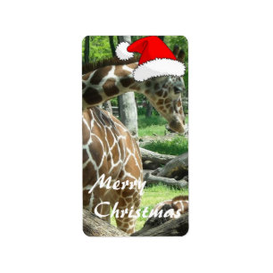 WeihnachtsGiraffe Adressaufkleber