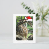 WeihnachtsGiraffe Feiertagskarte (Stehend Vorderseite)