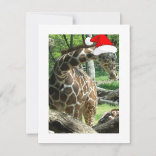 WeihnachtsGiraffe Feiertagskarte