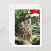 WeihnachtsGiraffe Feiertagspostkarte (Vorne/Hinten)