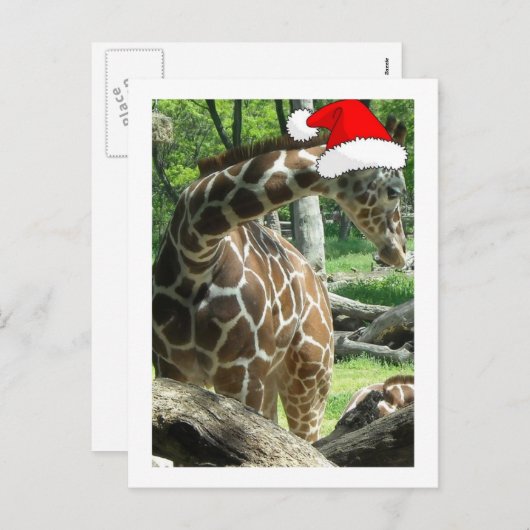 WeihnachtsGiraffe Feiertagspostkarte (Vorne/Hinten)