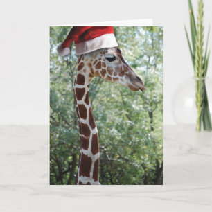 Weihnachtsgiraffe mit Santa-Hut Feiertagskarte