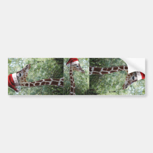 WeihnachtsGiraffe mit Weihnachtsmannmütze Autoaufkleber