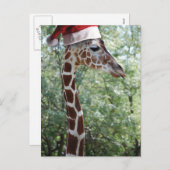 WeihnachtsGiraffe mit Weihnachtsmannmütze Feiertagspostkarte (Vorne/Hinten)