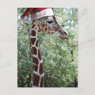 WeihnachtsGiraffe mit Weihnachtsmannmütze Feiertagspostkarte