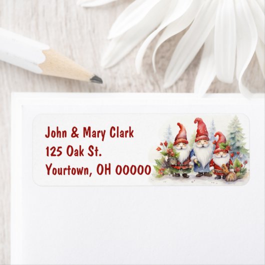 Weihnachtsgnomes (Insitu)