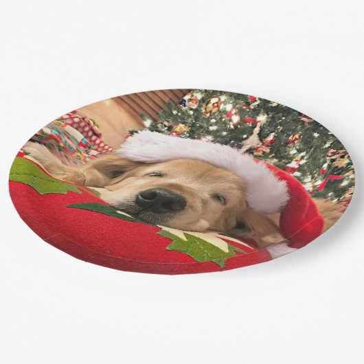 Weihnachtsgolden retriever-Hund schlafend unter Pappteller (Schrägansicht)