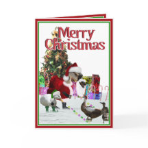 Weihnachtsgoose und Enten