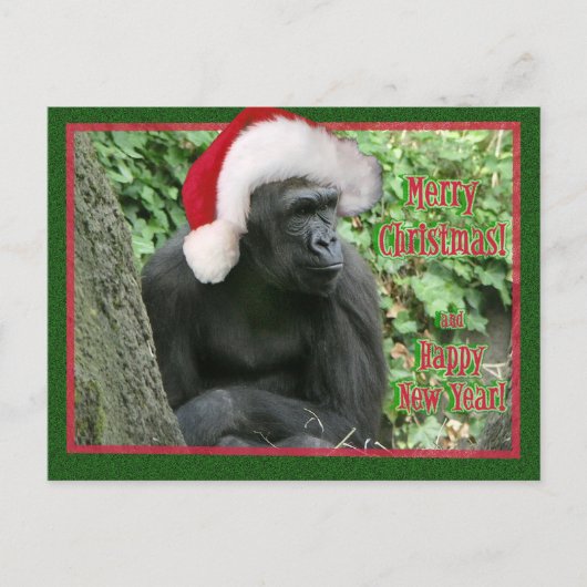 WeihnachtsGorilla Feiertagspostkarte (Vorderseite)