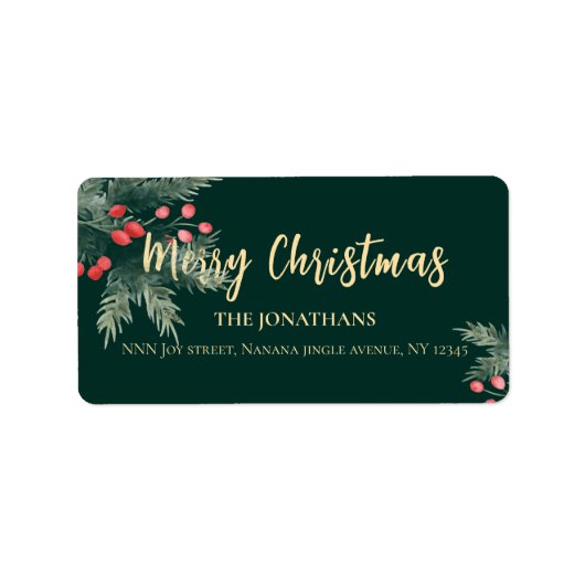 Weihnachtsgrün Weihnachten Elegante Rücksendeadres Adressaufkleber (Vorne)