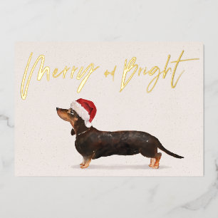 Weihnachtsgruß Dachshund Hund Frohe Begrüßung Folien Feiertagskarte
