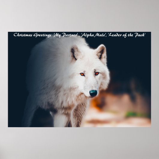Weihnachtsgrüße Anführer des Rudels Poster (Vorne)