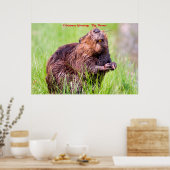 Weihnachtsgrüße Big Beaver Poster (Küche)