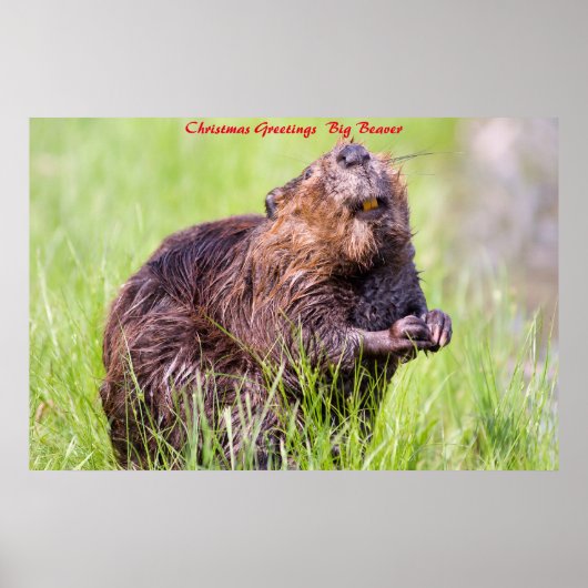 Weihnachtsgrüße Big Beaver Poster (Vorne)