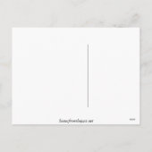 Weihnachtsgrüße Feiertagspostkarte (Rückseite)