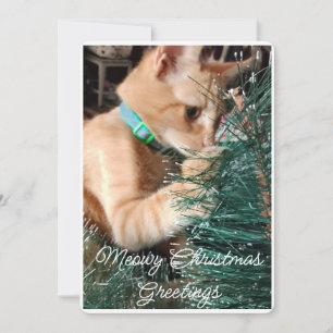 Weihnachtsgrüße, Foto und Text, maßgeschneidert Feiertagskarte