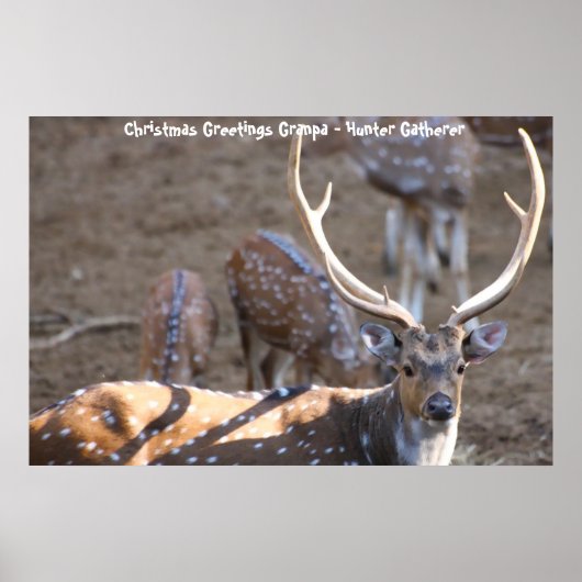 Weihnachtsgrüße Grandpa Hunter Gatherer Poster (Vorne)