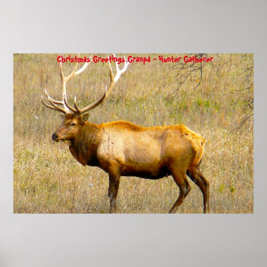 Weihnachtsgrüße Grandpa Hunter Gatherer Poster (Vorne)