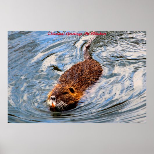 Weihnachtsgrüße Herr Whiskers Poster (Vorne)