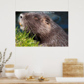 Weihnachtsgrüße LMy Little Beaver Poster (Küche)