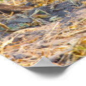 Weihnachtsgrüße Mein alter Bohne Poster (Ecke)