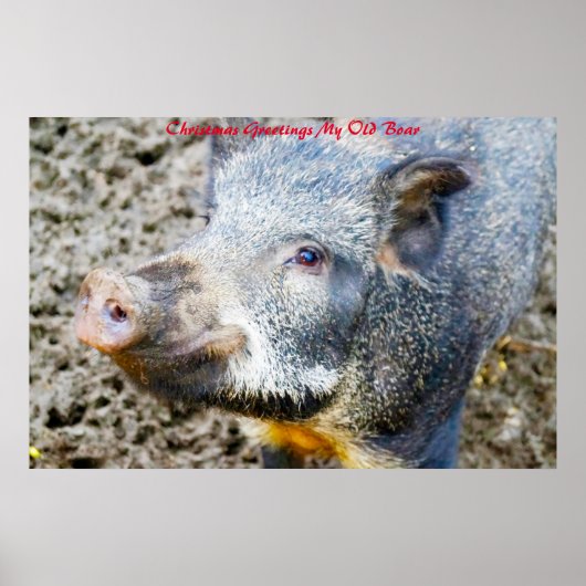 Weihnachtsgrüße Mein alter Bohne Poster (Vorne)