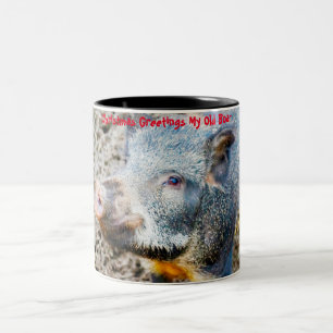 Weihnachtsgrüße Mein Alter Eber Zweifarbige Tasse