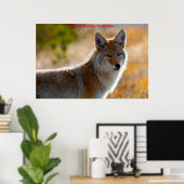 Weihnachtsgrüße Mein altes Coyote Poster (Heimbüro)