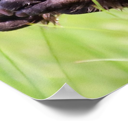 Weihnachtsgrüße Mein beschäftigter Biber Poster (Ecke)