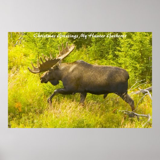 Weihnachtsgrüße Mein Jäger Gatherer Poster (Vorne)