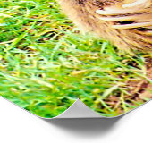 Weihnachtsgrüße Mein Jäger Gatherer Poster (Ecke)